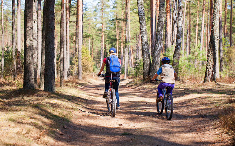 wycieczki rowerowe po lesie